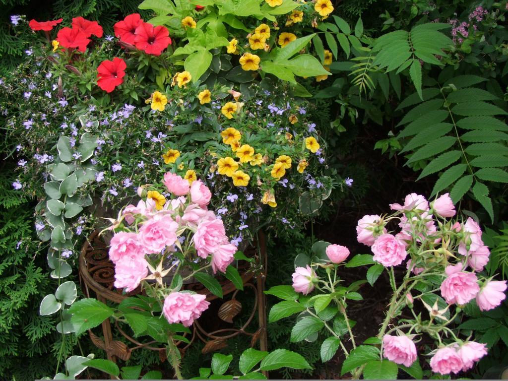 In Elegance Bed & Breakfast Niagara-on-the-Lake Bagian luar foto